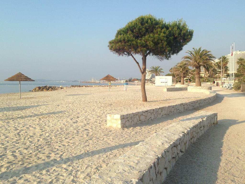 Bel Appartement Les Pieds Dans L'Eau Villeneuve-Loubet Exterior photo